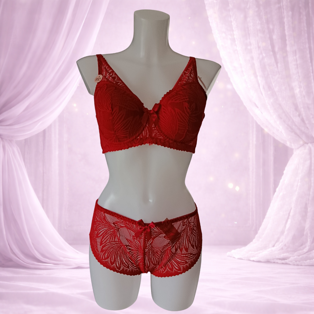 Ensemble rouge en dentelle avec armatures – Spécial bonnet D