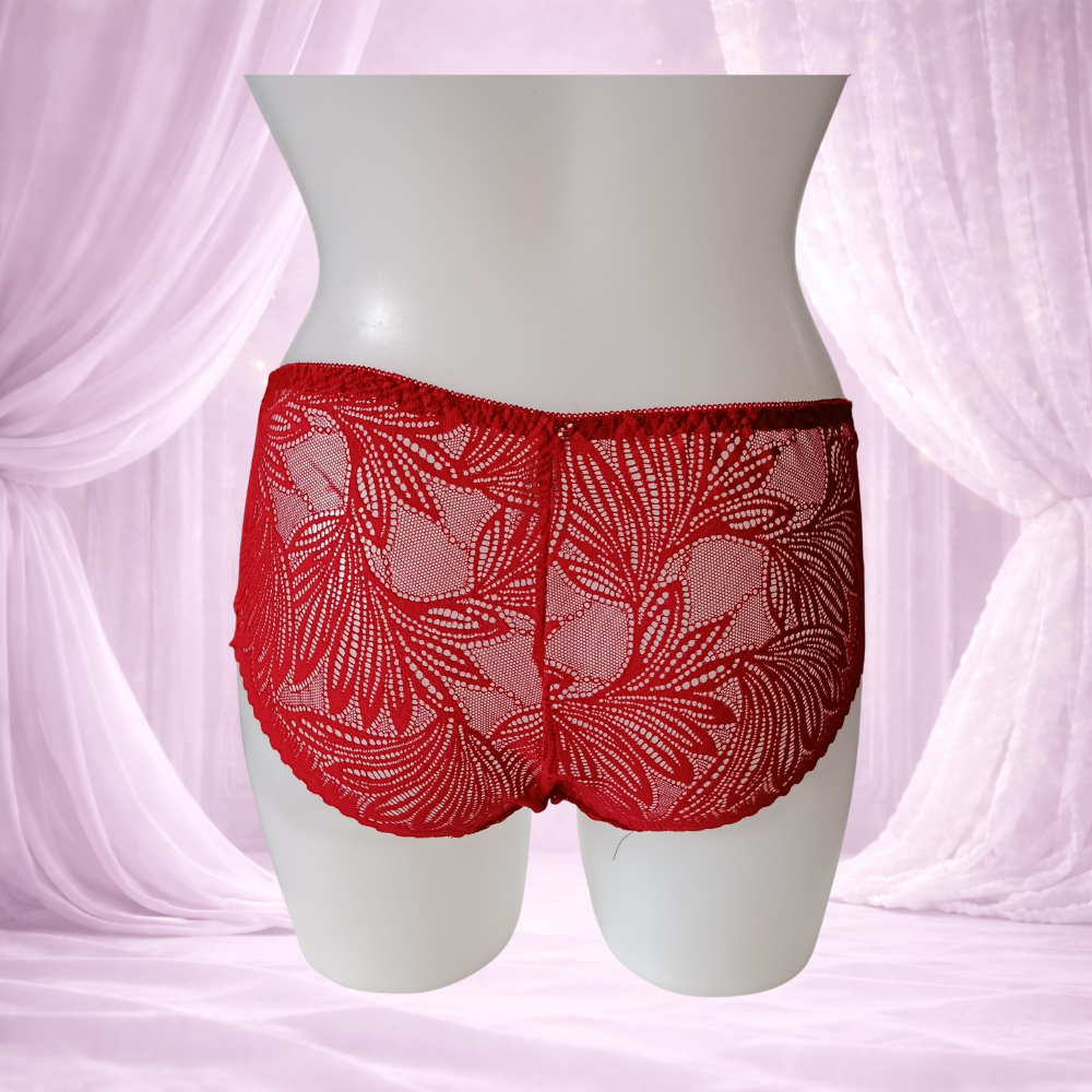 Ensemble rouge en dentelle avec armatures – Spécial bonnet D